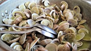 steamed-clams-603110_640