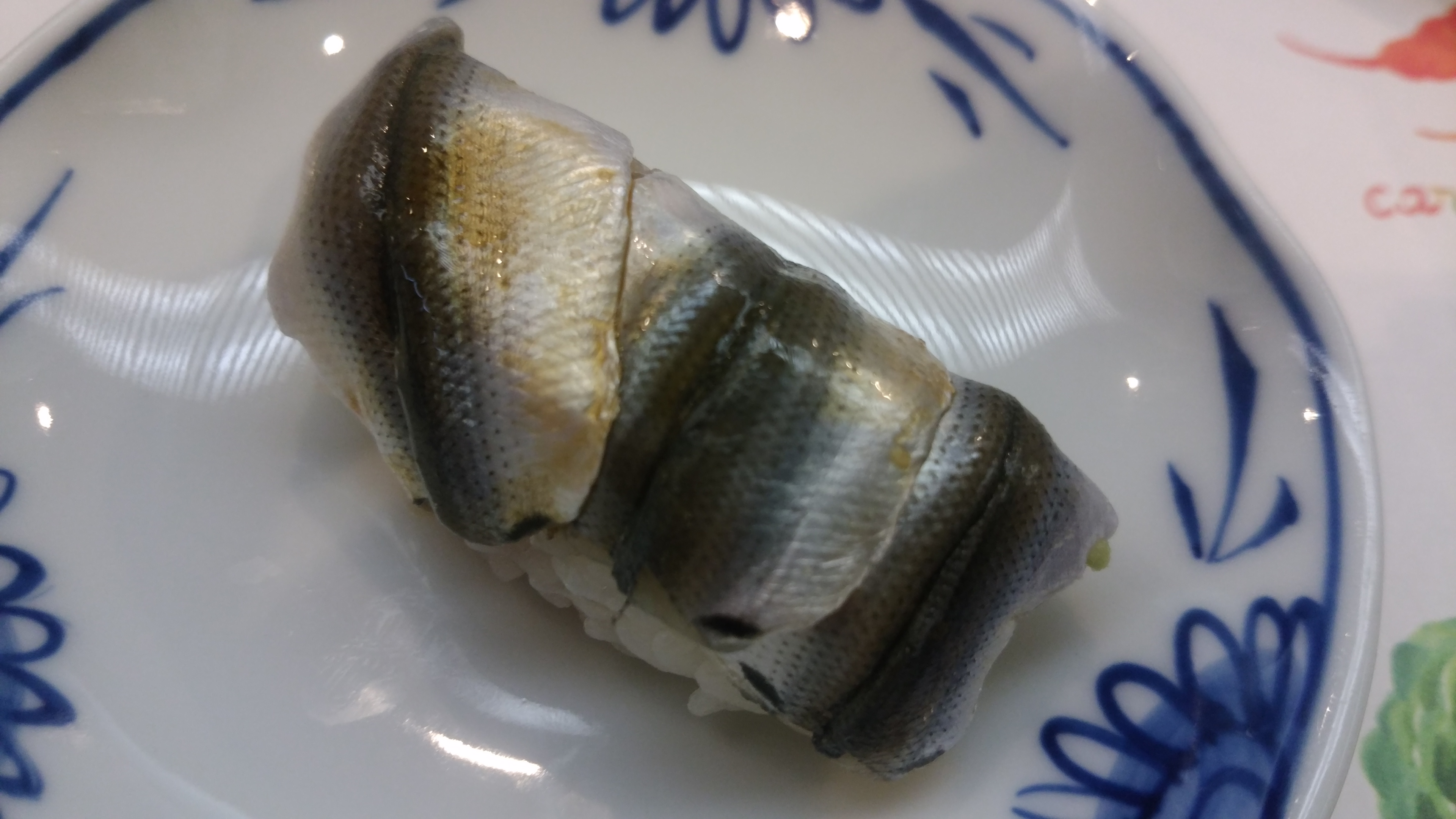 シンコとは 憧れの高級魚を食す コハダ コノシロとの味の違いは 貧乏釣り部員五時レンジャー